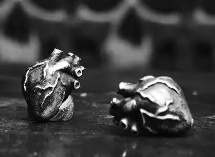 Boucles d'oreilles gothiques anatomiques en forme de cœur humain, bijoux d'anatomie et d'oddities, b