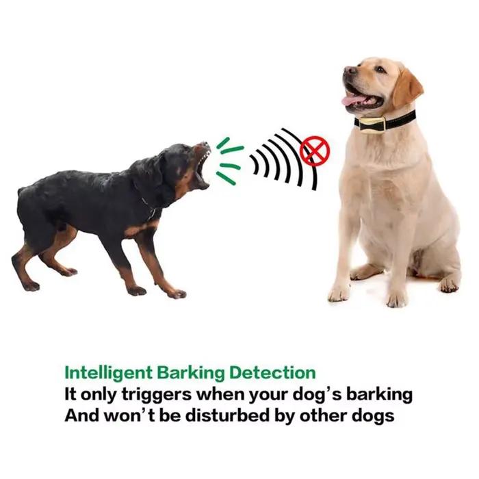 Collier anti-aboiement pour chien, contrôle anti-aboiement, Rechargeable, pour chiens, colliers d'entraînement