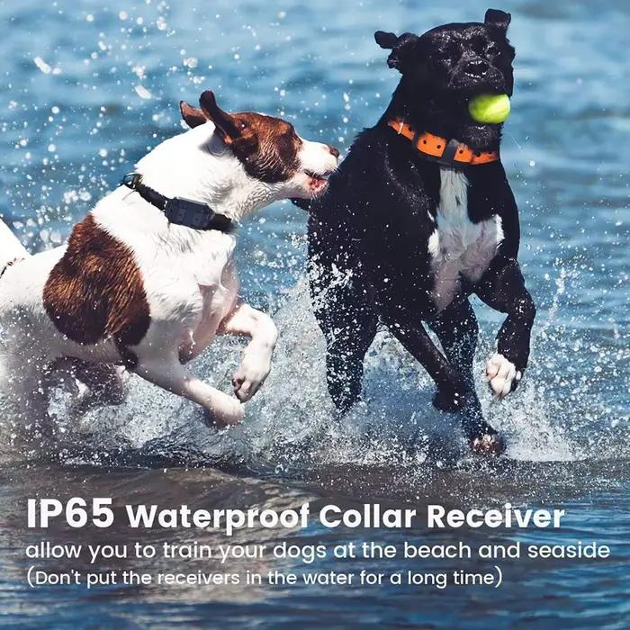 Collier Électrique Anti-Aboiement pour Chien, Étanche, avec Télécommande, Rechargeable, Dispositif de Toutes Tailles