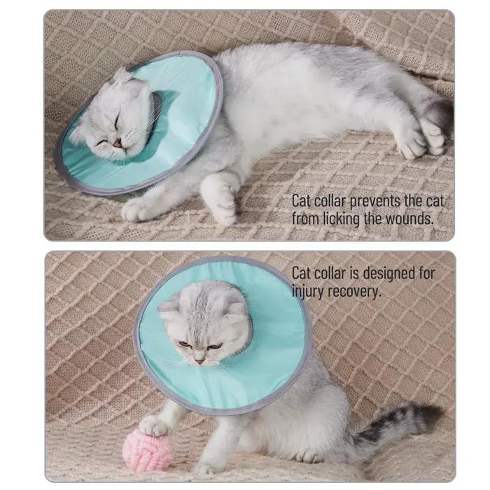 Collier de protection pour chat de compagnie, cône de récupération du cou pour Anti-morsure, anti-morsure, réutilisable, pour chiens et chats, cercle médical de santé pour fournitures pour animaux de