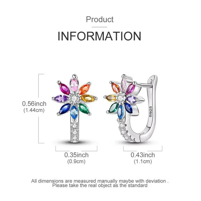 Boucles d'oreilles en argent Sterling 925 pour femmes