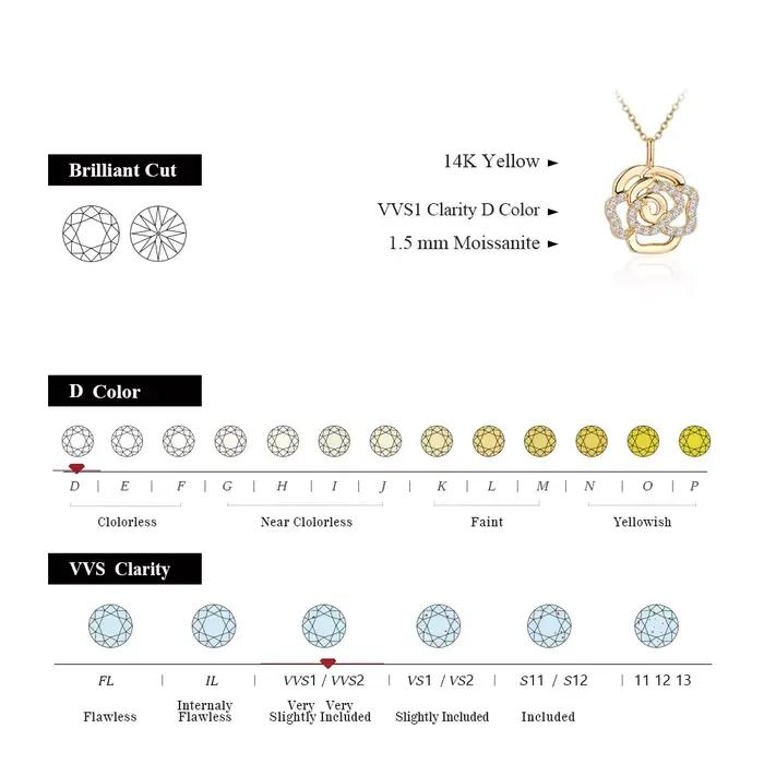 ATTAGEMS-Collier Moissanite en Argent Sterling 925 pour Femme et Homme, Pendentif Fleur, Qualité Supérieure, Patients de Mariage, Bijoux Fins