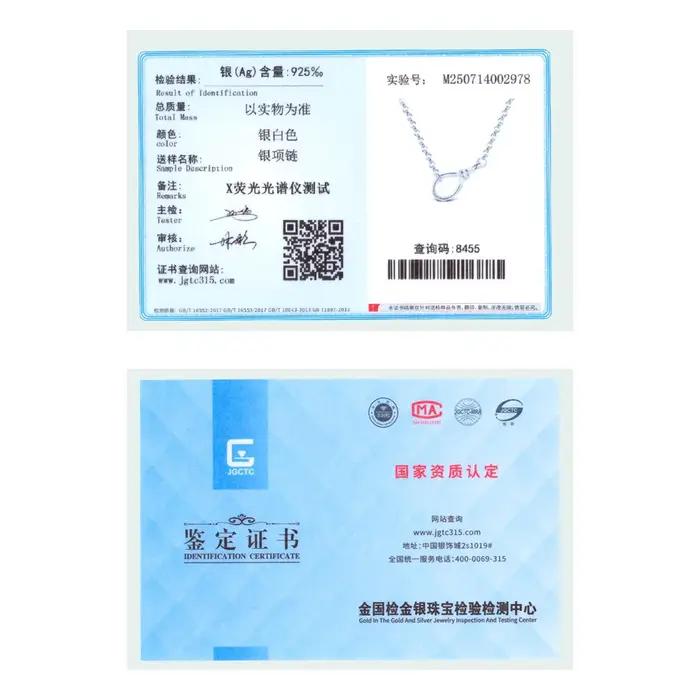 Collier infini minimaliste en argent Sterling 925 pour femmes avec pendentif en zirconium occasion spéciale élégant bijou à offrir