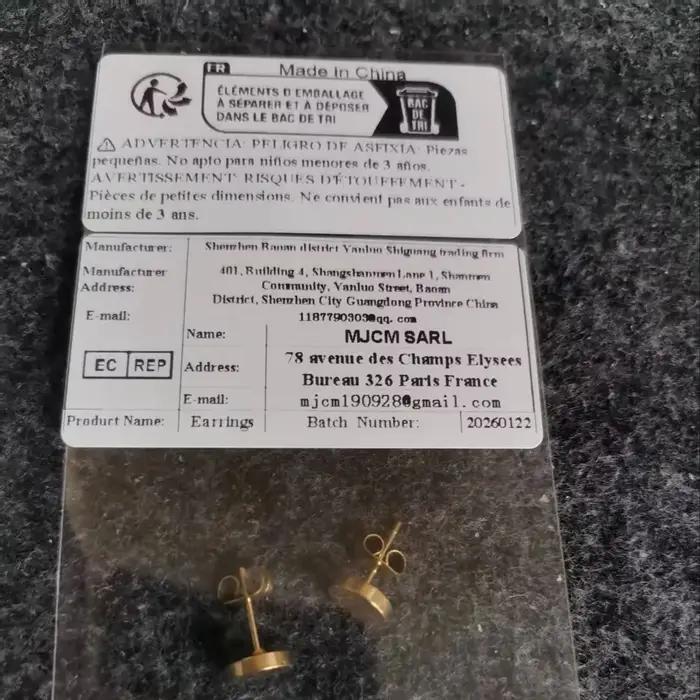 Boucles d'oreilles en acier inoxydable avec zircon AAA